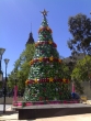 The City of Melbourne's Christmas tree